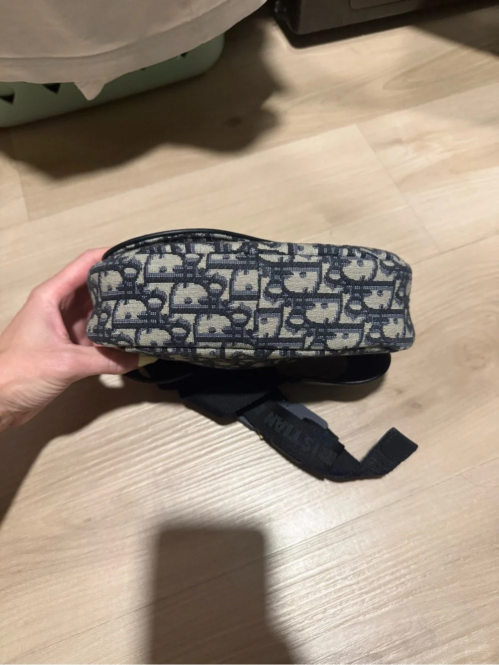 Dior Blue and Beige Monogram Saddle Pouch